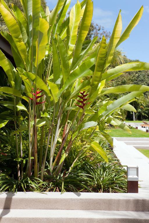 Qualia Hotell Hamilton Island Eksteriør bilde